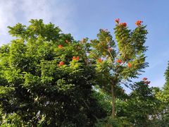-白沙门生态公园