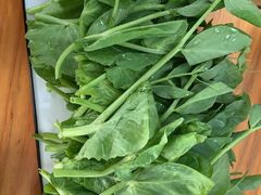 -大理老字号·舟渔的鱼野生菌海景餐厅(双廊店)