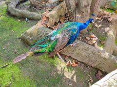 -哈尔滨北方森林动物园