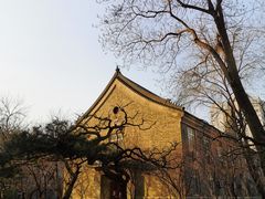 -中央民族大学