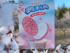 -太阳宫公园