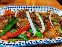 -柴窝堡22号辣子鸡·传承新疆菜