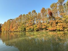 -上海海湾国家森林公园