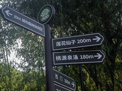 -莲花池公园