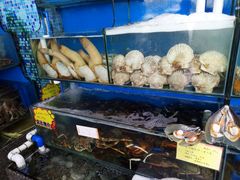 -蚝专家(北滘店)