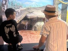 -海合安武汉极地海洋公园