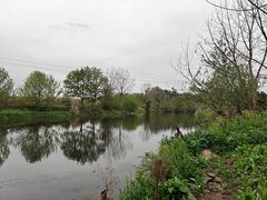 -苏记溪河鲢鱼庄(天府新区店)