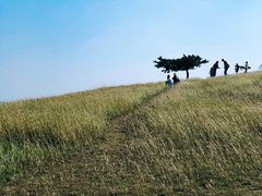 -恋山坝上草原