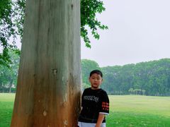 -河南省黄河迎宾馆