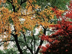 -西安市纺织公园
