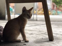-馨园villa融合菜(东山店)