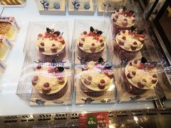 -卡吉诺动物奶油生日蛋糕(中原路店)