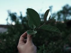 -维乐口腔医院(星海湾分院)