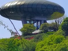 -中国湿地博物馆