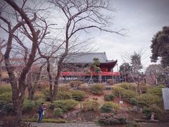 -东京国立博物馆