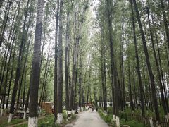 -林间山庄