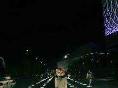 -南京眼步行桥