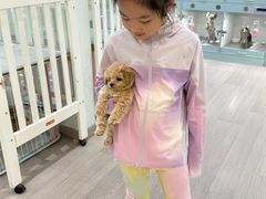-萌宠之家·腊肠犬·马尔泰·小体犬舍
