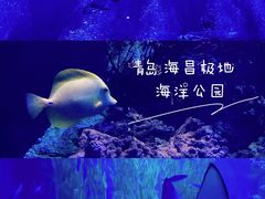 -海合安青岛极地海洋公园