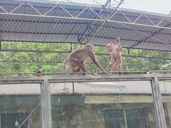 -哈尔滨北方森林动物园