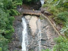 -广州白江湖森林公园