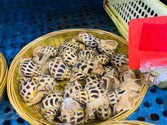 -坛南湾阿强农家乐.海鲜大排档老字号(福州地标美食店)