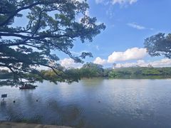 -江心屿景区