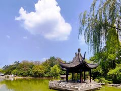-红梅公园