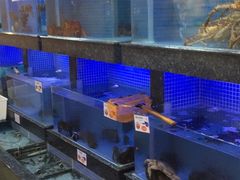 水产区-名苑皇宫酒家(来魅力壁画村店)