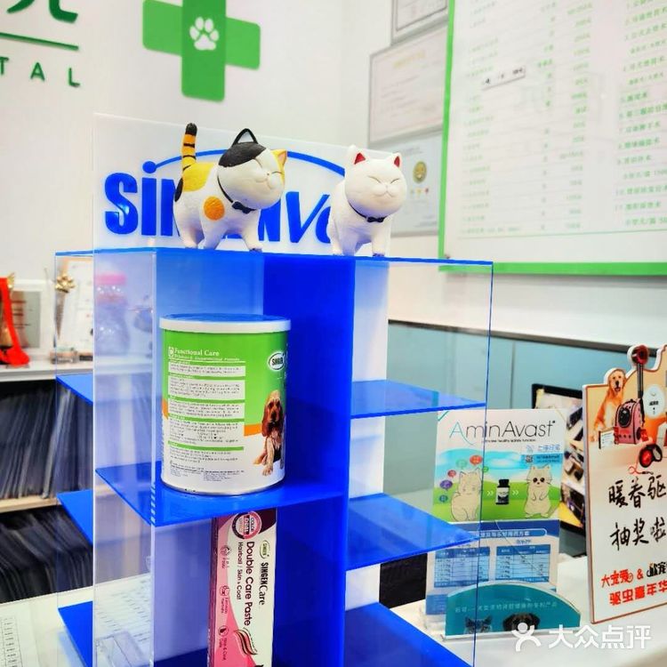 上海宠物医院推荐～为毛孩子寻找一家好口碑专业度高的医院