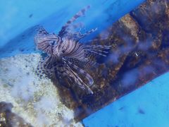 -常州海昌海洋探索馆