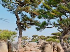 -罗红摄影艺术馆