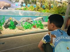 -湖南省地质博物馆