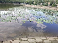 -哈尔滨师范大学(松北校区)