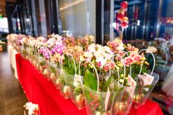 -派对猴生日派对策划(浦东店)