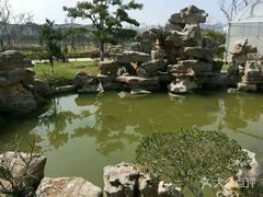 -呼吸森林·生态农庄农家乐私房菜