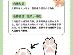 -爱侣宠医·鹦鹉专科·小型哺乳类·异宠专科(灵石路店)