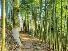 -莫干山风景区
