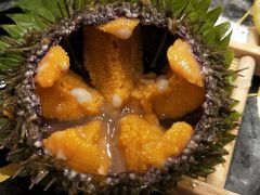 海胆（活）-争鲜回转寿司(南开大悦城店)