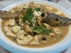 -煲来饱去冷水鱼