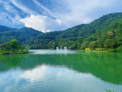 -广州白江湖森林公园