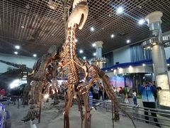 -国家自然博物馆