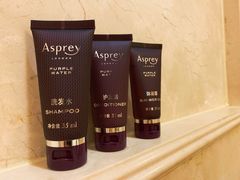 -广州富力丽思卡尔顿酒店