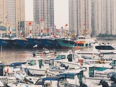 -沈家门渔港