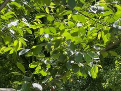 -北仑森林植物园