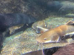 -太平洋海底世界