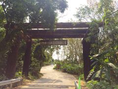 -七仙岭温泉国家森林公园