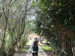 -青龙山国家森林公园