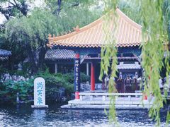 -趵突泉景区