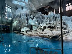 -帝企鹅自助餐厅•儿童岛•真企鹅(长隆企鹅酒店)